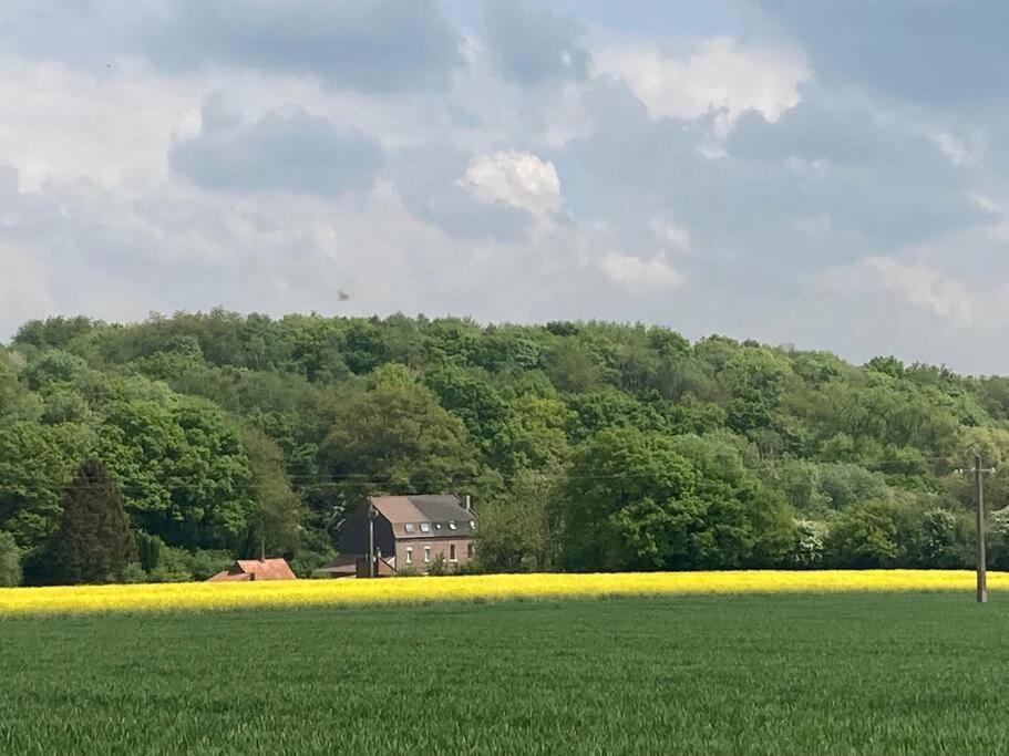 Au Bois D'Epenin - Gite Et Spa Beugin Exterior foto